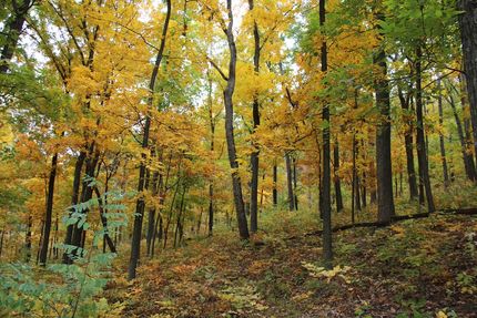 Farm and Ranch for sale in Frederick County, Virginia
