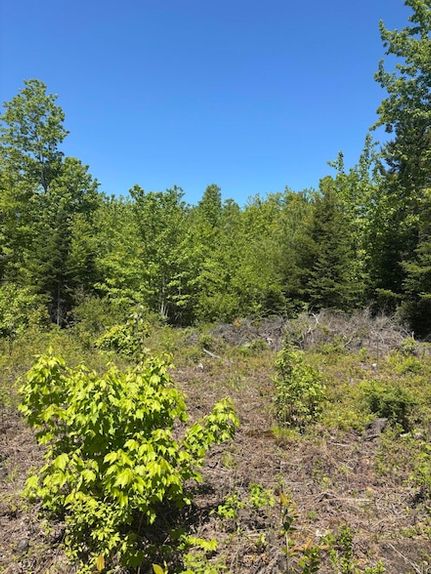 Farm and Ranch for sale in Hancock County, Maine