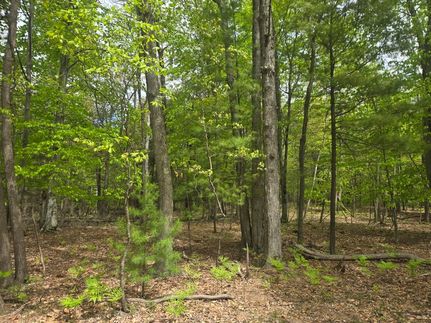 Commercial Property for sale in Oceana County, Michigan