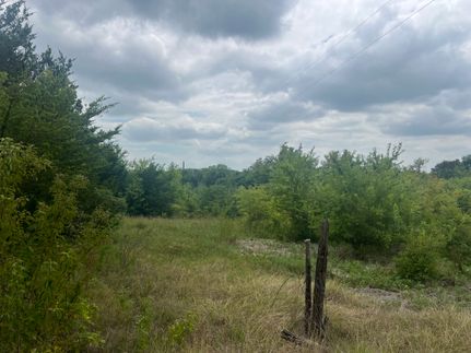 Undeveloped Land for sale in Fannin County, Texas