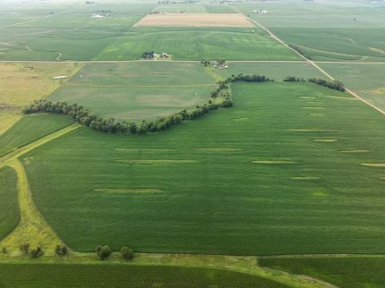Land for sale in Marshall County, Illinois