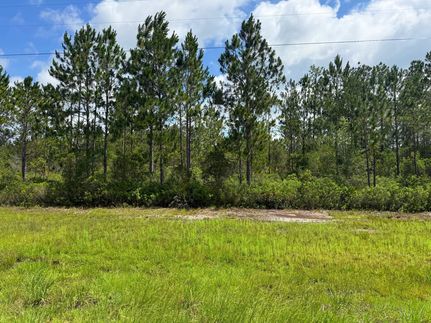 Recreational Property for sale in Wayne County, Georgia