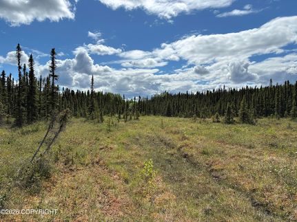 Undeveloped Land for sale in Matanuska-Susitna Borough, Alaska