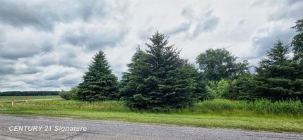 Timberland Property for sale in Saginaw County, Michigan