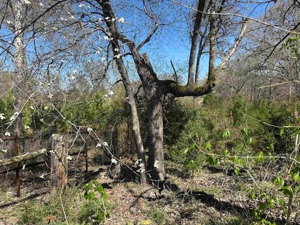Undeveloped Land for sale in Morris County, Texas