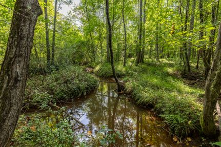 Timberland Property for sale in Schley County, Georgia
