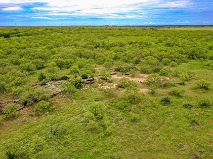 Undeveloped Land for sale in Jack County, Texas