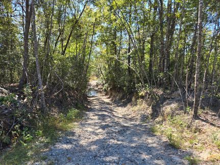 Land for sale in Stone County, Mississippi