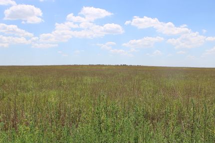 Undeveloped Land for sale in Scott County, Kansas