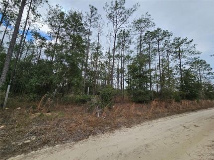 Commercial Property for sale in Levy County, Florida