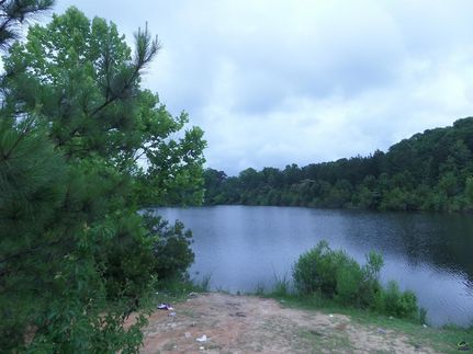 Undeveloped Land for sale in Houston County, Georgia