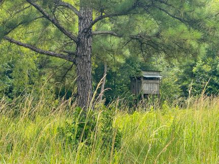 Timberland Property for sale in Liberty County, Texas
