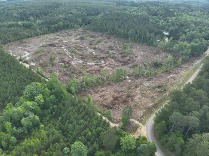 Land for sale in Ouachita County, Arkansas