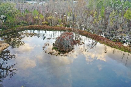 Timberland Property for sale in McIntosh County, Georgia