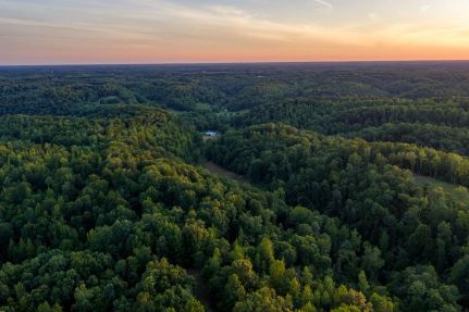 Timberland Property for sale in Giles County, Tennessee
