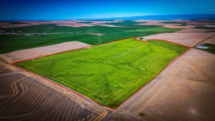 Undeveloped Land for sale in Umatilla County, Oregon
