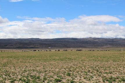 Farm and Ranch for sale in Wayne County, Utah
