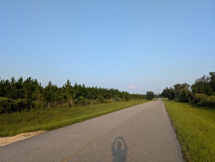 Farm and Ranch for sale in Lafayette County, Florida