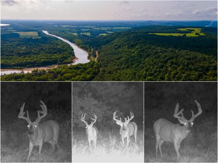 Timberland Property for sale in McIntosh County, Oklahoma