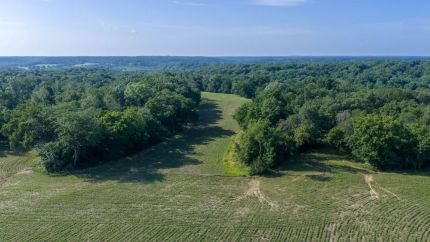 Undeveloped Land for sale in Fulton County, Illinois