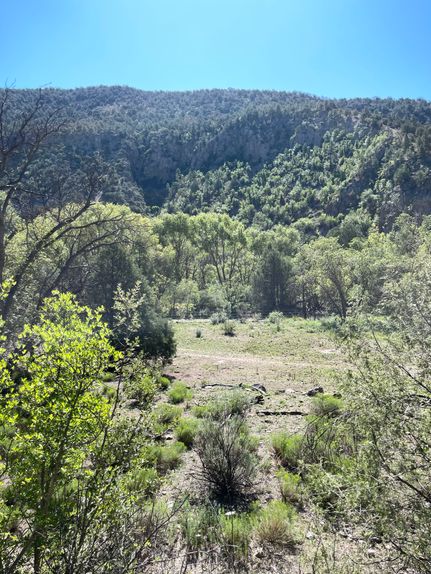 Land for sale in Catron County, New Mexico