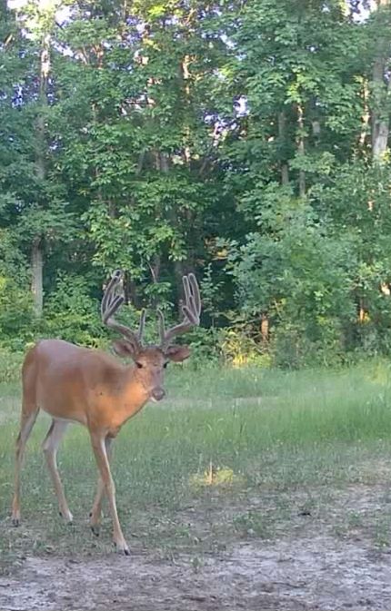 Land for sale in Sullivan County, Missouri