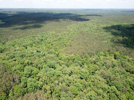 Land for sale in Fayette County, Alabama