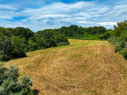 Farm and Ranch for sale in Union County, Illinois