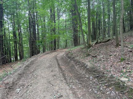 Land for sale in Tompkins County, New York