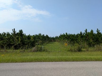 Farm and Ranch for sale in Lafayette County, Florida