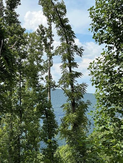 Recreational Property for sale in Giles County, Virginia
