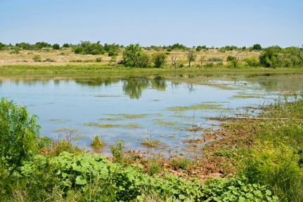 Farm and Ranch for sale in Runnels County, Texas