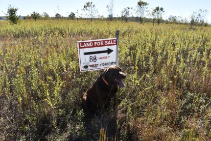 Farm and Ranch for sale in Bowie County, Texas