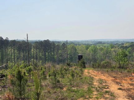 Undeveloped Land for sale in Coosa County, Alabama