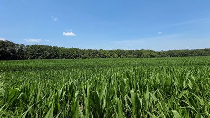 Farm and Ranch for sale in Sussex County, Virginia