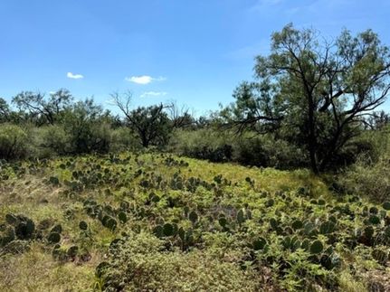 Land for sale in McCulloch County, Texas