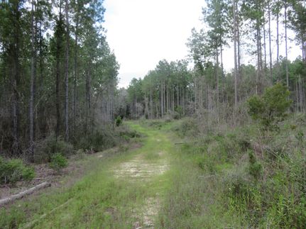 Recreational Property for sale in Coffee County, Alabama