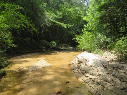 Undeveloped Land for sale in Coffee County, Alabama