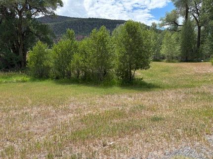 Homesite for sale in Rio Grande County, Colorado