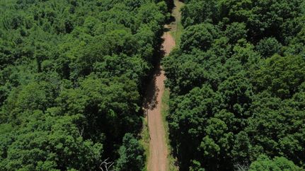 Land for sale in Madison County, Arkansas