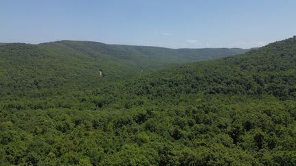 Undeveloped Land for sale in Madison County, Arkansas