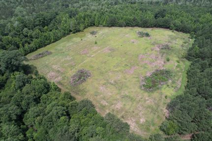 Land for sale in Washington County, Alabama