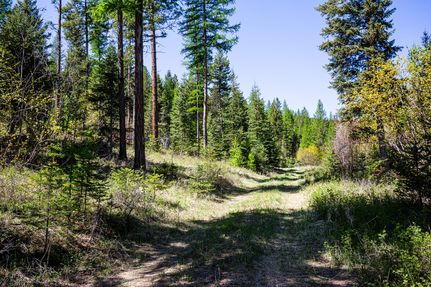 Land for sale in Flathead County, Montana