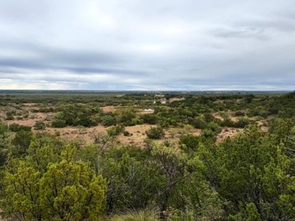 Land for sale in McCulloch County, Texas