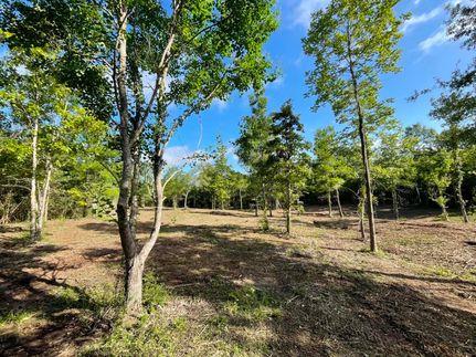 Recreational Property for sale in Polk County, Texas