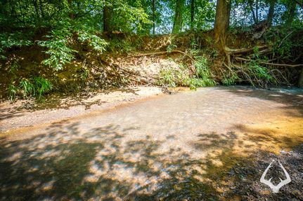 Land for sale in Sabine County, Texas