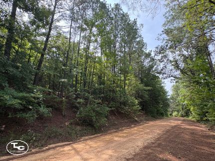 Undeveloped Land for sale in Lamar County, Alabama