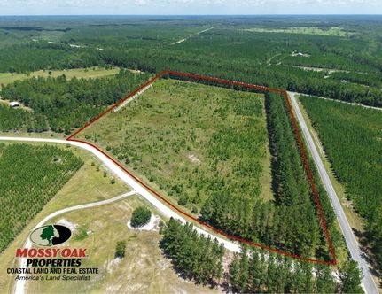 Recreational Property for sale in Charlton County, Georgia
