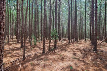 Farm and Ranch for sale in Wilkinson County, Georgia