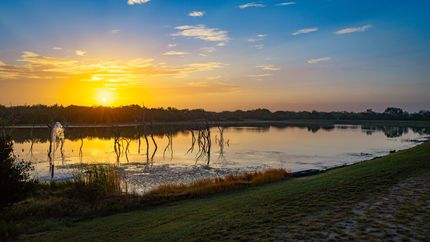Land for sale in Live Oak County, Texas